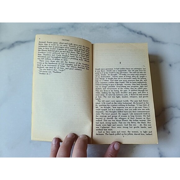 Destiny By Charles Whited Paperback - Picture 5 of 10